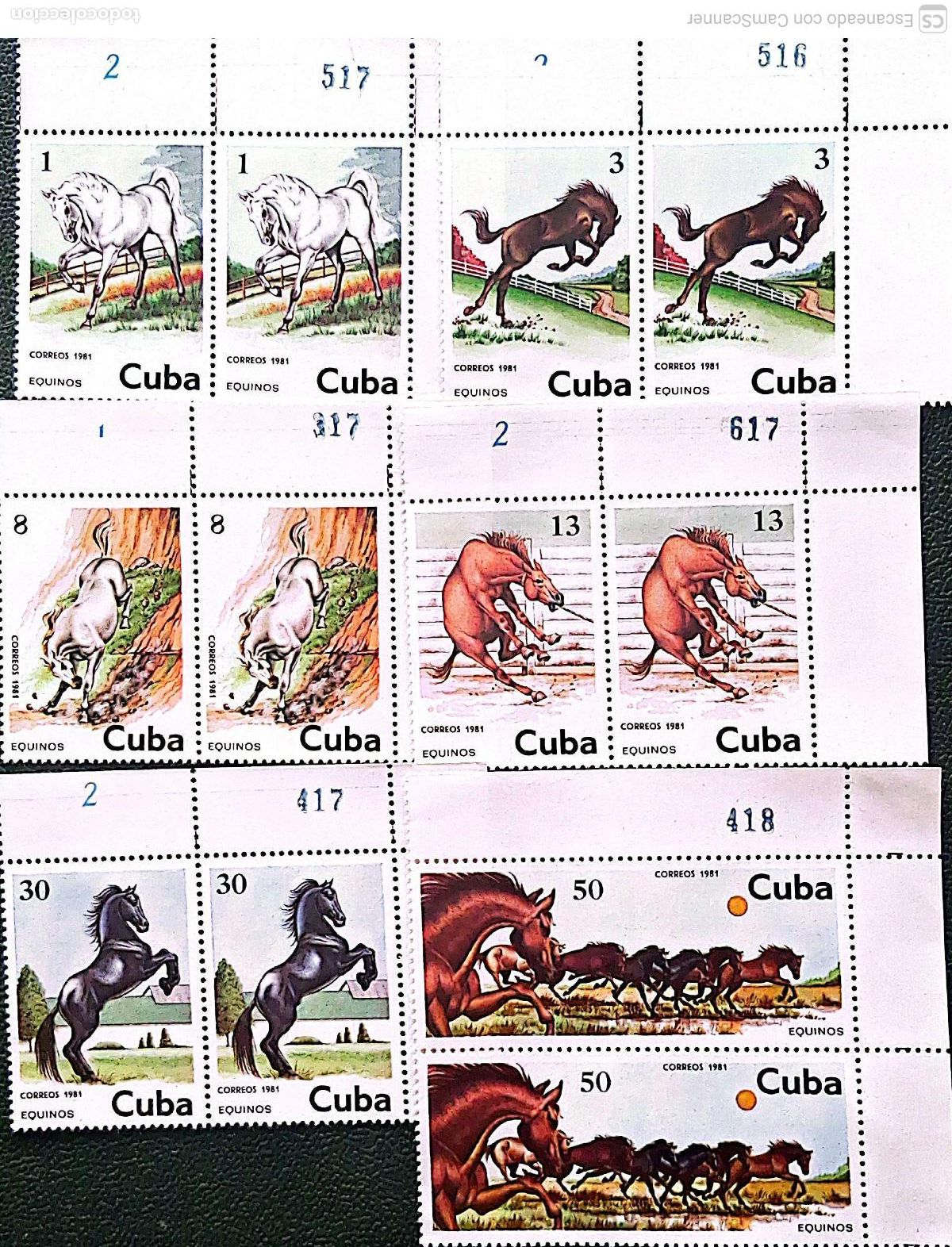 Sellos: Cuba. 2288/93 Fauna: Caballos, en pareja. 1981. Sellos nuevos y numeraci&oacute;n Yvert.