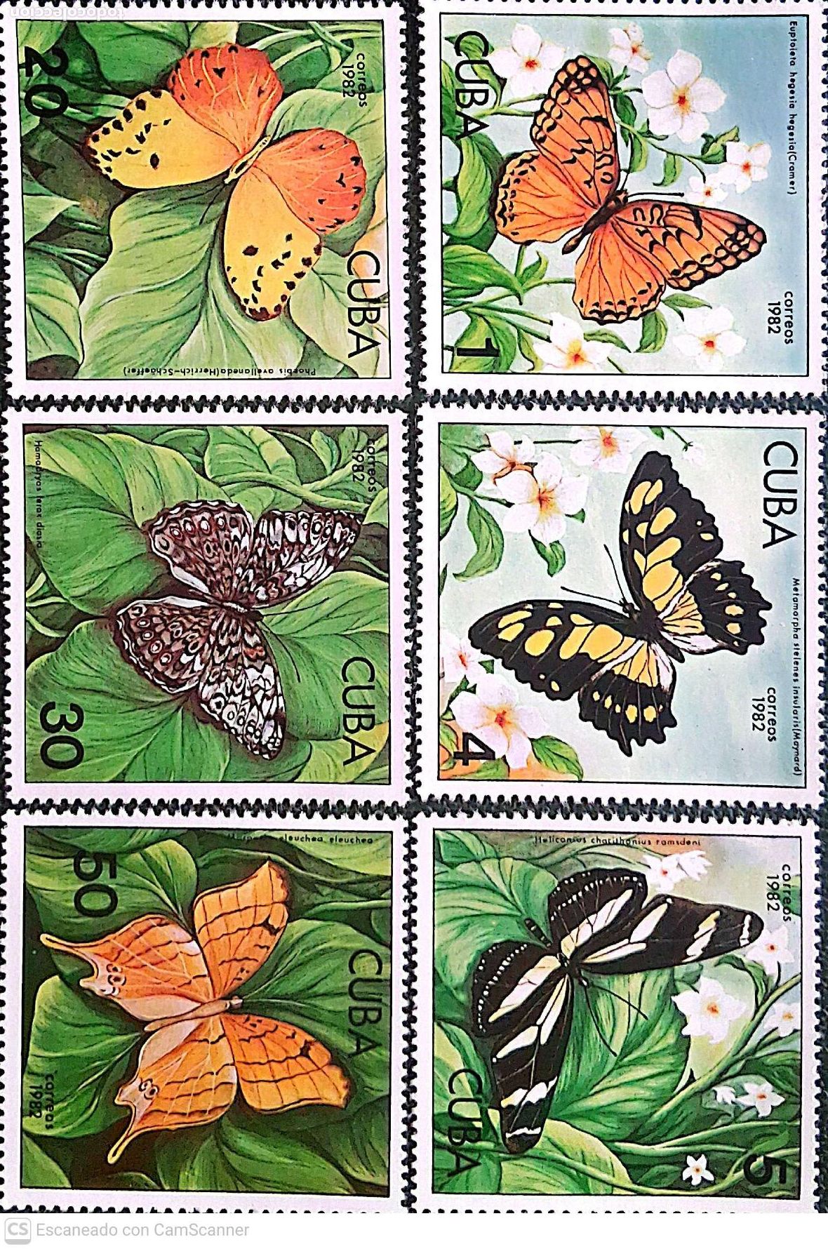 Sellos: Cuba. 2330/35 Fauna: Mariposas. 1982. Sellos nuevos y numeraci&oacute;n Yvert.