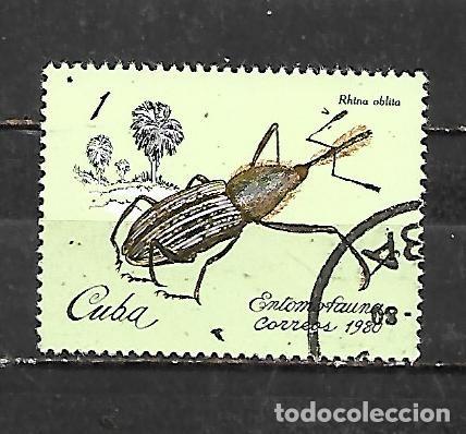 Sellos: 1980: Escarabajos - Rhina oblita (CTO)