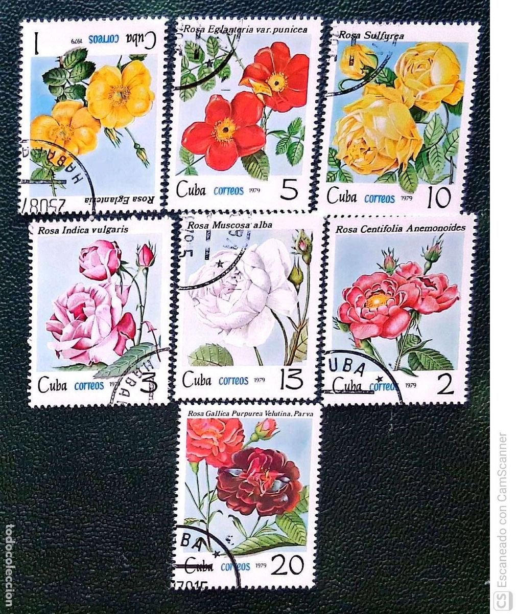 Sellos: Cuba. 2140/46 Rosas de Cuba: Eglanteria, centifolia anemonoides, indica vulgaris, eglanteria var pun