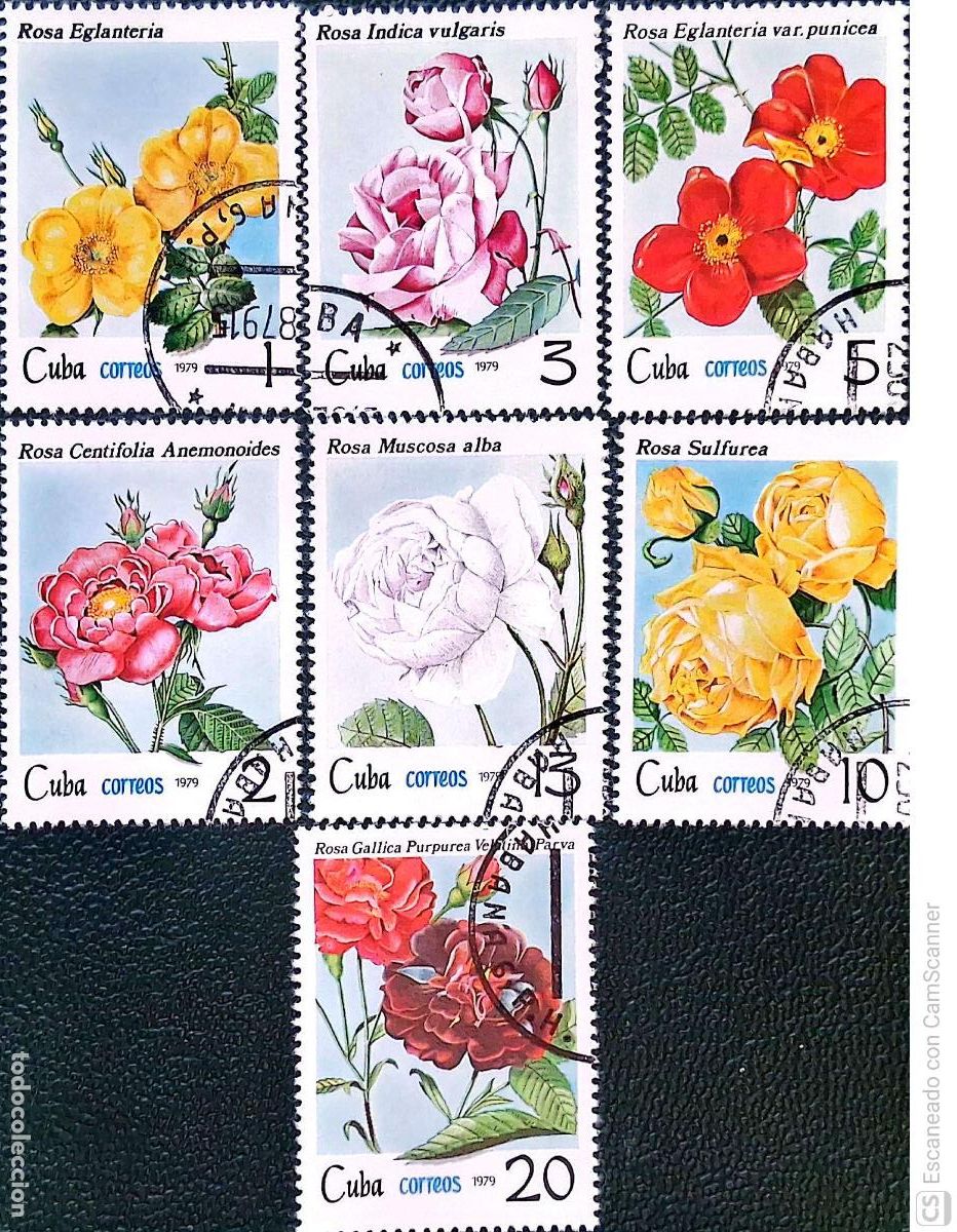 Sellos: Cuba. 2140/46 Rosas de Cuba: Eglanteria, centifolia anemonoides, indica vulgaris, eglanteria var pun