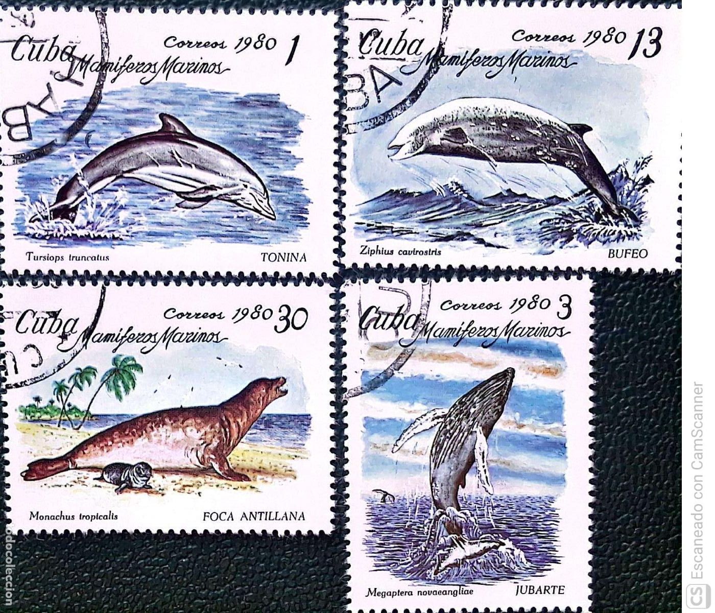 Sellos: Cuba. 2197/2200 Fauna marina: Tursiops, megaptera, ziphius y monachus. 1980. Sellos usados y numerac