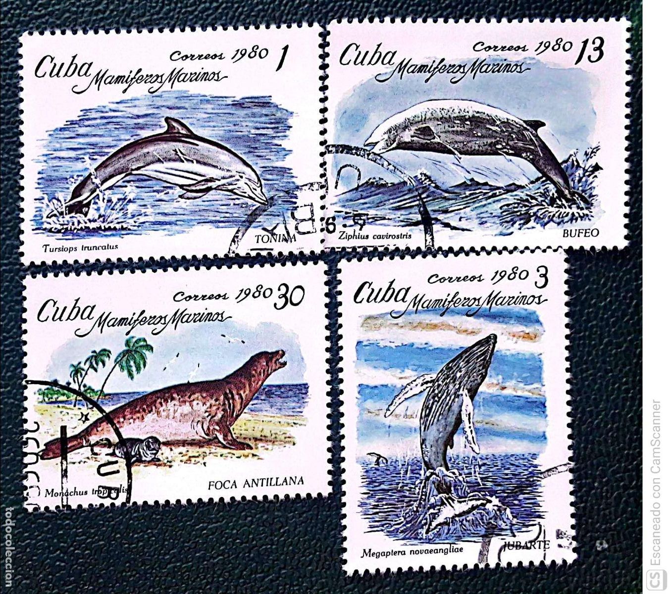 Sellos: Cuba. 2197/2200 Fauna marina: Tursiops, megaptera, ziphius y monachus. 1980. Sellos usados y numerac