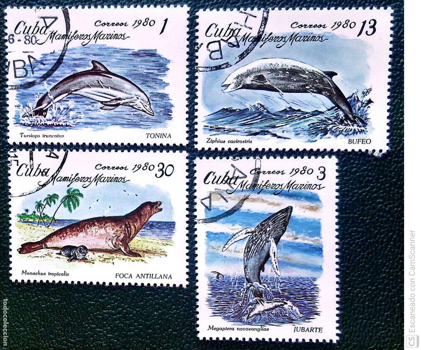 Sellos: Cuba. 2197/2200 Fauna marina: Tursiops, megaptera, ziphius y monachus. 1980. Sellos usados y numerac