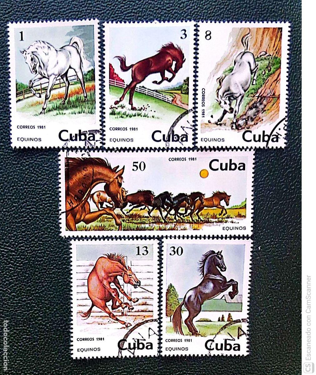 Sellos: Cuba 2288/93 Fauna: Caballos. 1981. Sellos usados y numeraci&oacute;n Yvert.