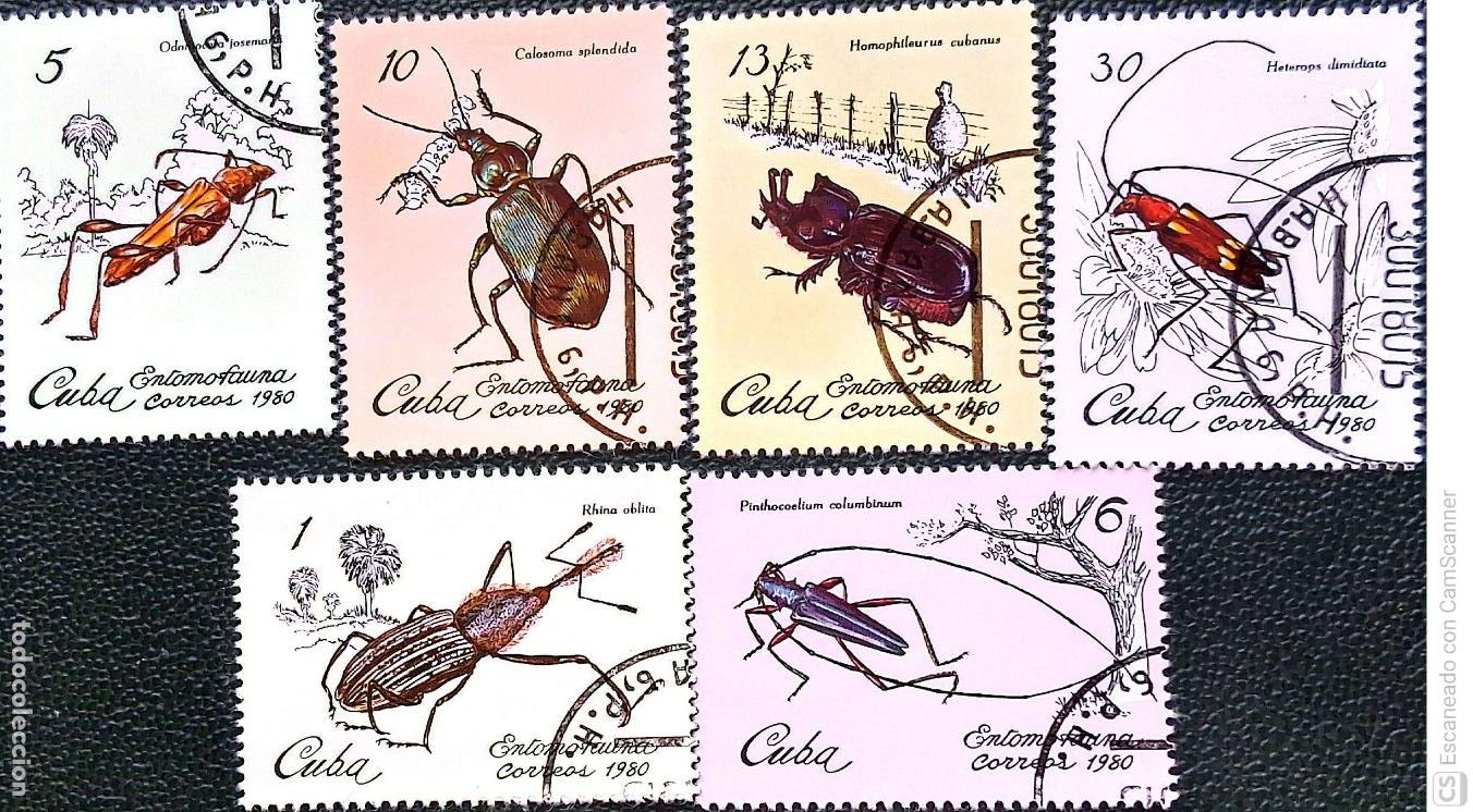 Sellos: Cuba. 2164/69 Insectos cole&oacute;pteros: Rhina oblita, odontocera, pinthocoelium, calosoma, homophileurus