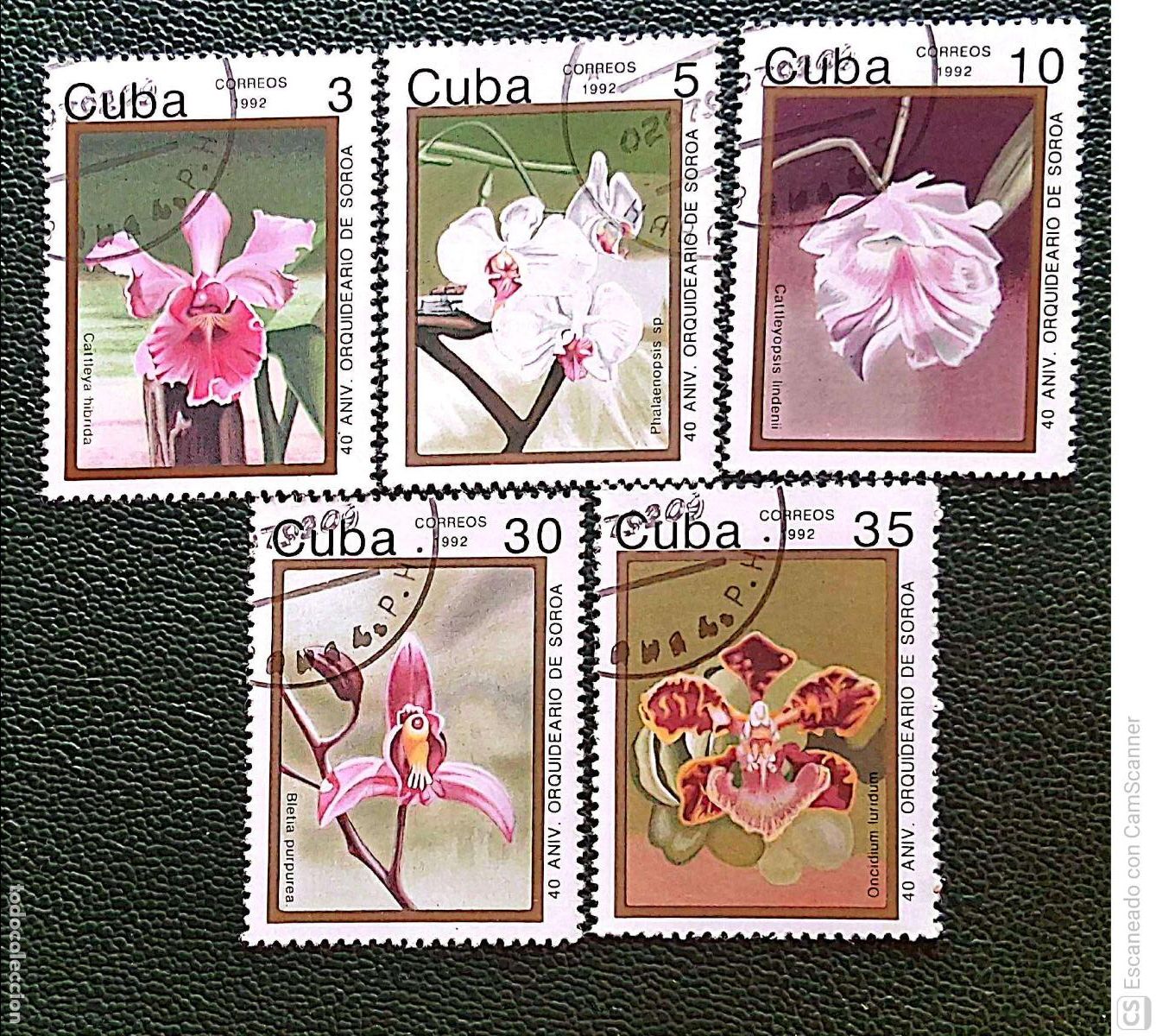 Sellos: Cuba. 3218/22 Aniversario del cultivo de orqu&iacute;deas, en Soroa. 1992. Sellos usados y numeraci&oacute;n Yvert