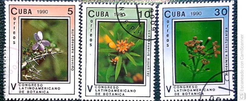 Sellos: Cuba. 3036/38 Flores. Congreso latino-americano de bot&aacute;nica. 1990. Sellos usados y numeraci&oacute;n Yvert.