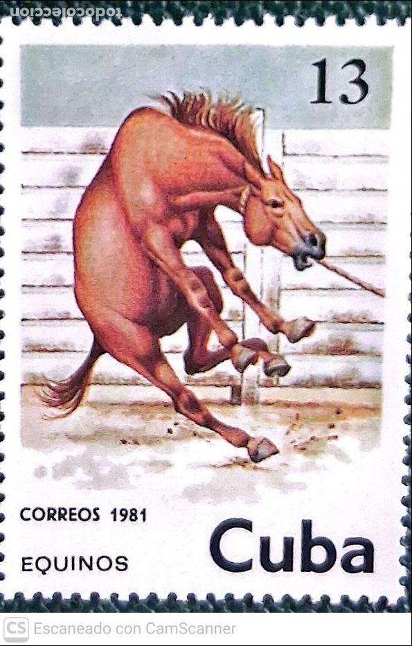 Sellos: Cuba. 2291 Fauna: Caballo. 1981. Sellos usados y numeraci&oacute;n Yvert.