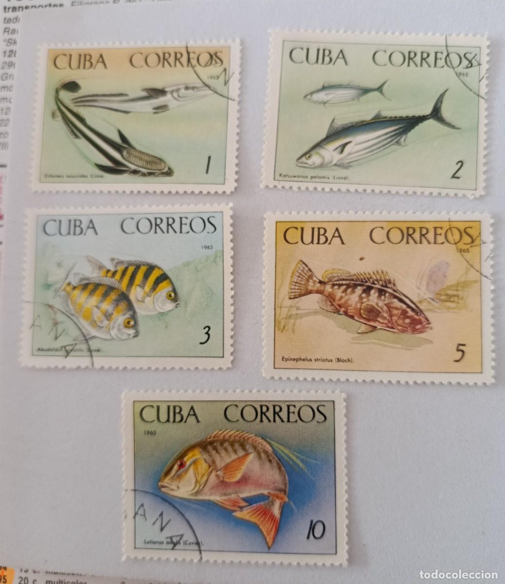 Sellos: Sellos Cuba 1965, Acuario Nacional, edifil 1278/1280, 1282/1283.