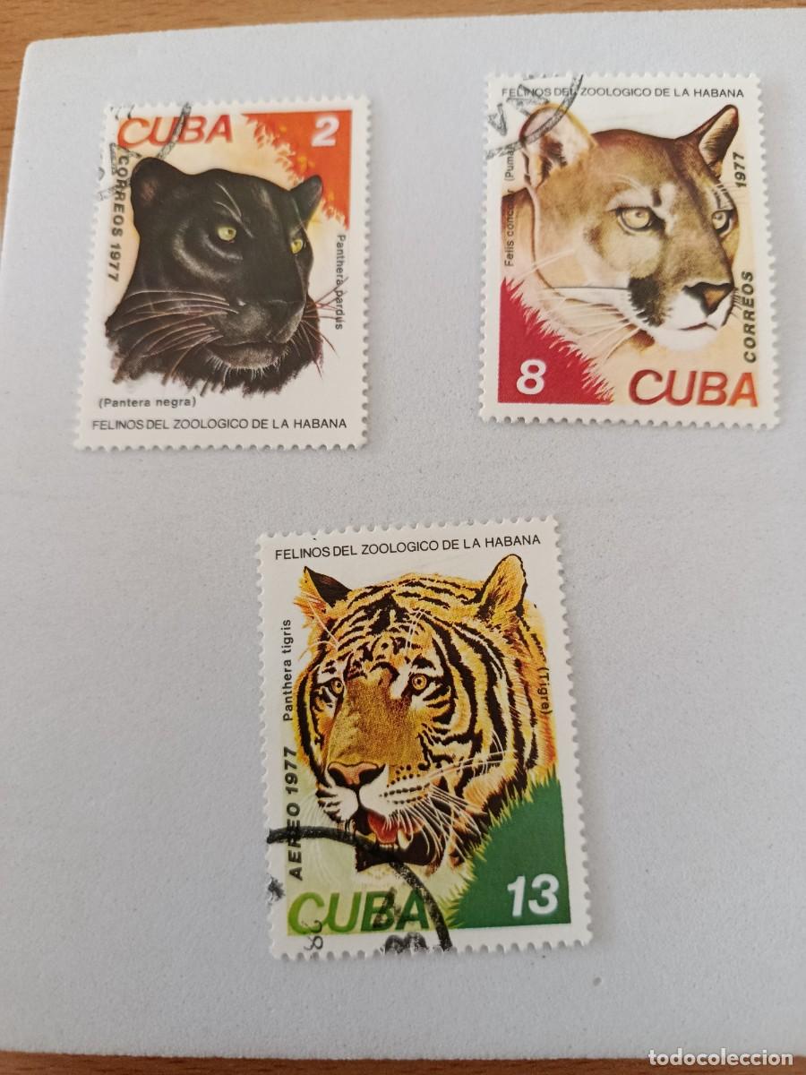 Sellos: Sellos Cuba 1977, Felinos del Zool&oacute;gico de La Habana, edifil 2427/2428 y 2430