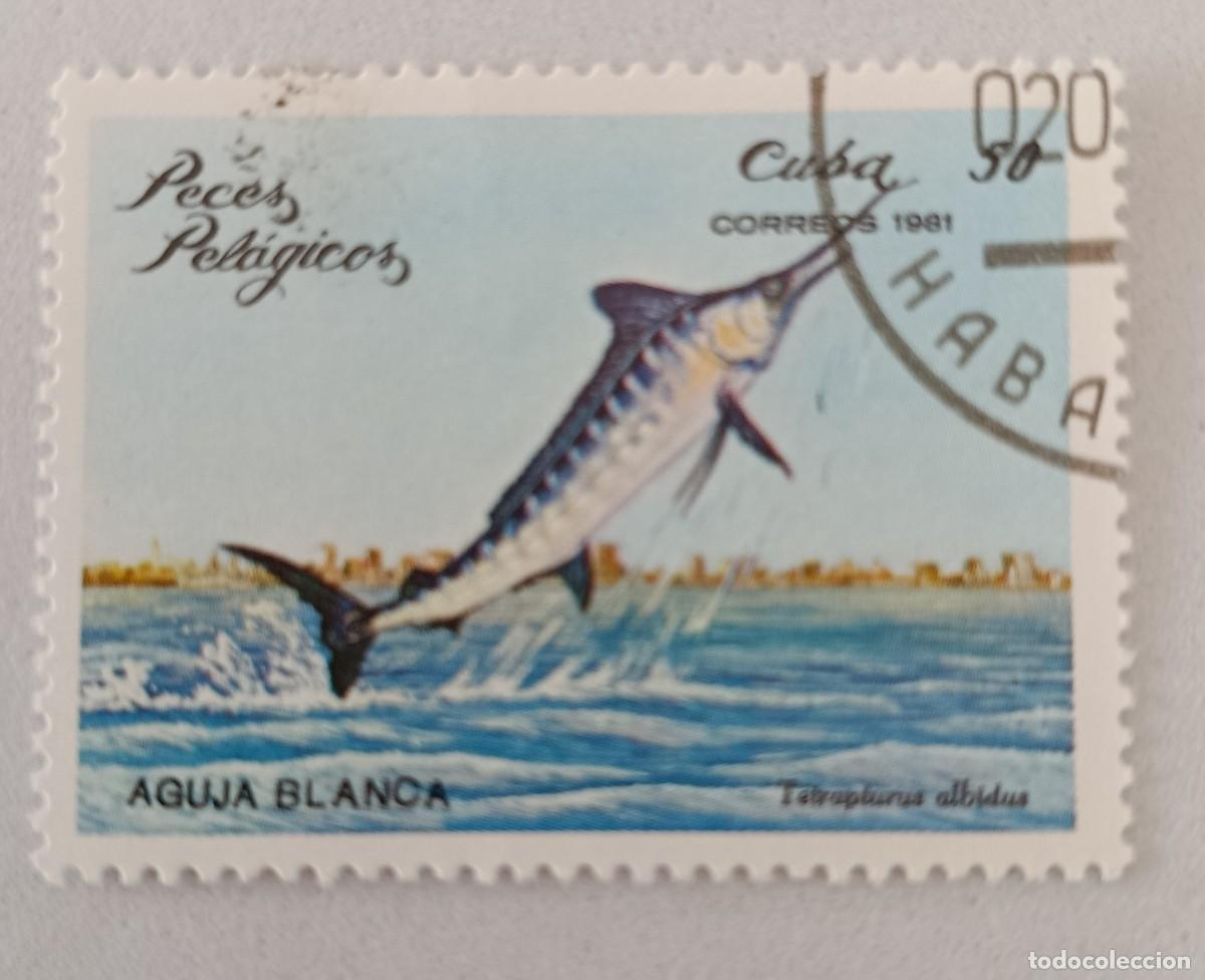 Sellos: Sellos Cuba 1981, Peces pel&aacute;gicos, edifil 2707