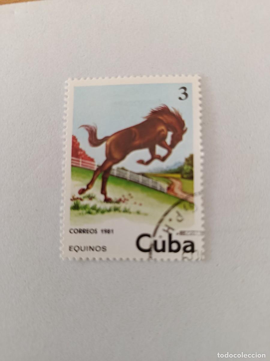 Sellos: Sellos Cuba 1981, Caballos, edifil 2751