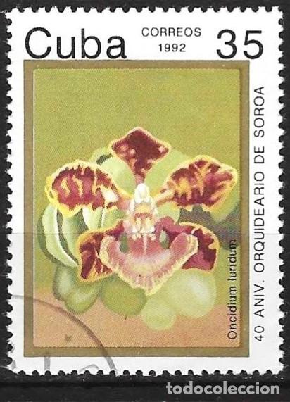 Sellos: Cuba 1992 - Mi 3587 - YT 3222 - Flor : Orqu&iacute;dea