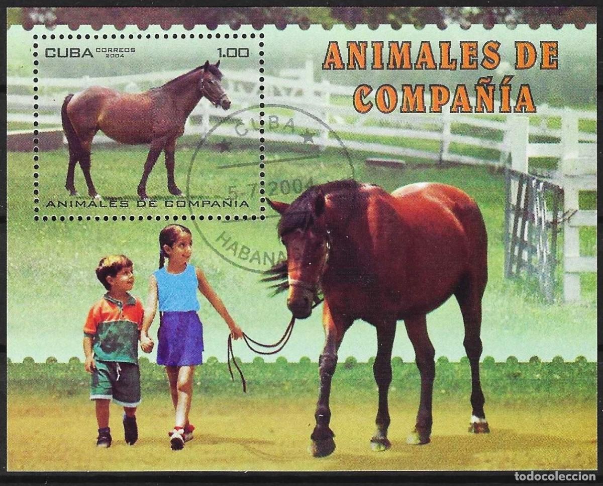 Sellos: Cuba 2004 - Mi BL 192 - YT BF 191 - Caballo