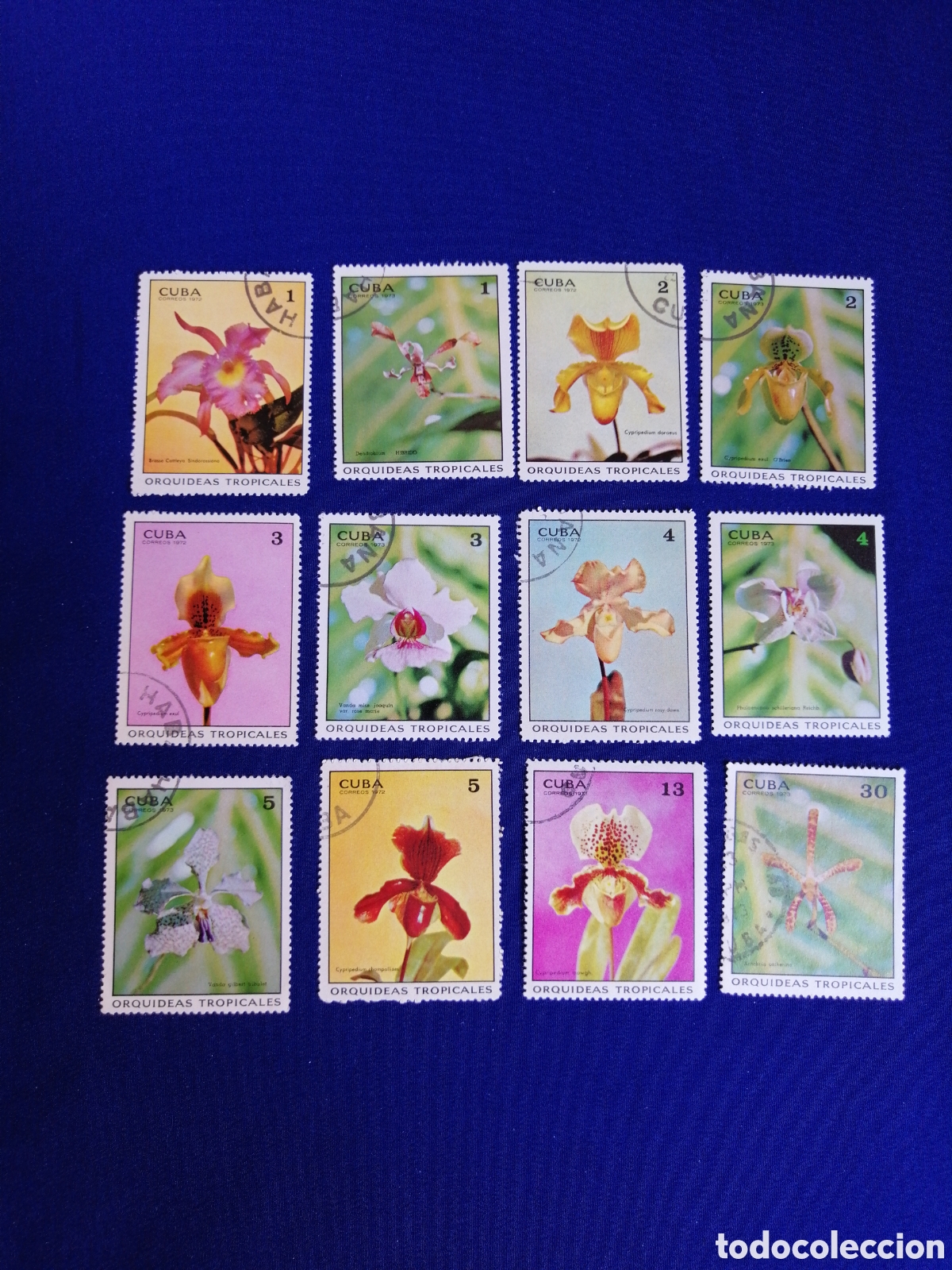 Sellos: CUBA - LOTE FLORES ORQU&Iacute;DEAS SELLO USADO MATASELLADOS