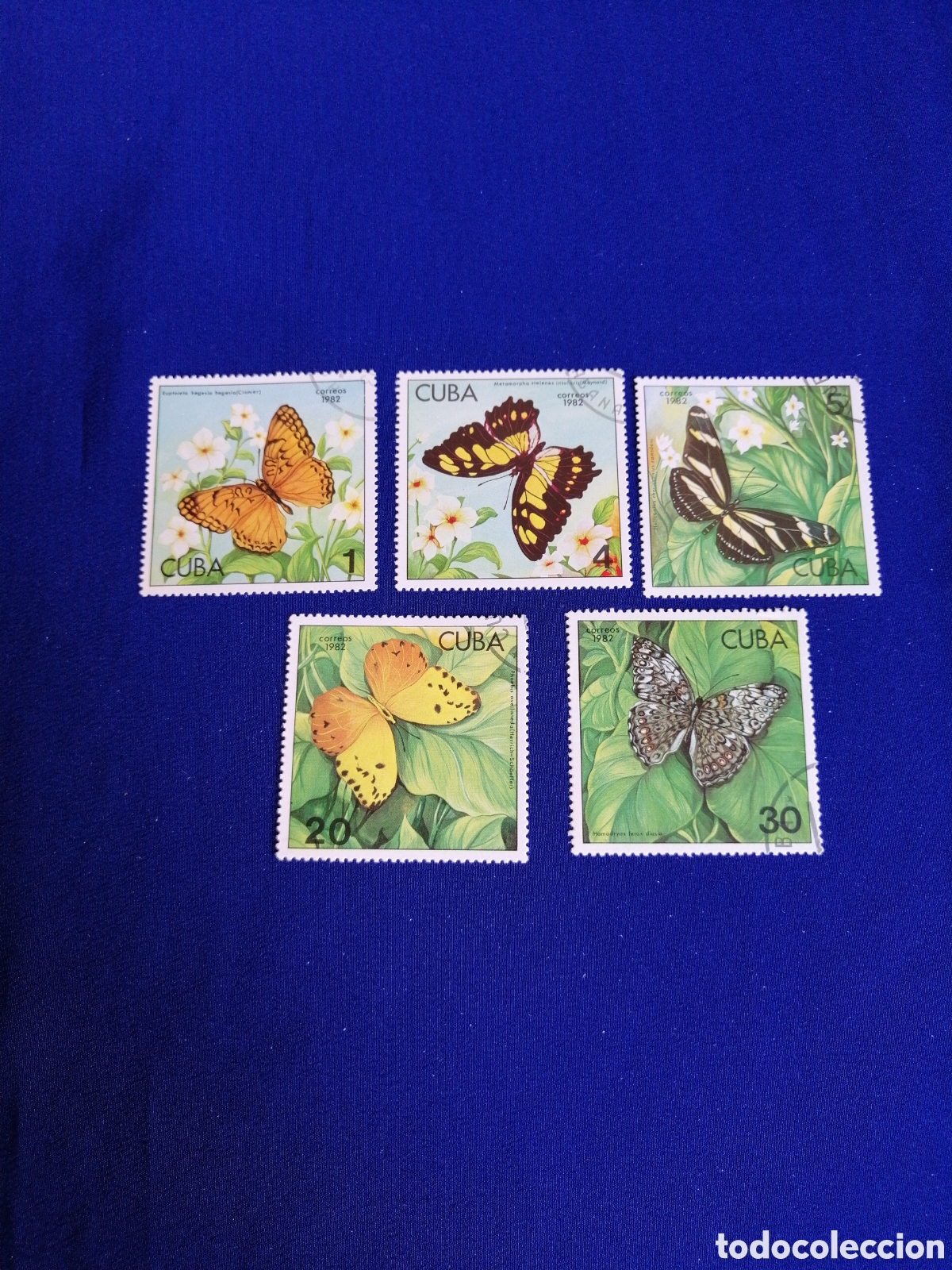 Sellos: CUBA - LOTE MARIPOSAS SELLO USADO MATASELLADOS
