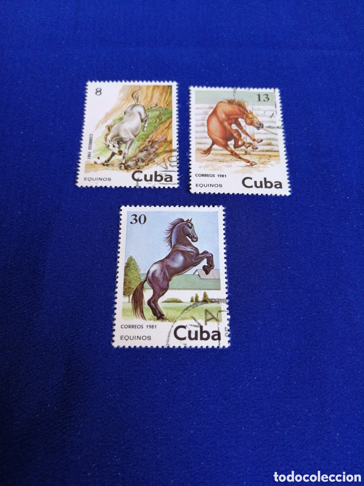 Sellos: CUBA - LOTE CABALLO SELLO USADO MATASELLADOS