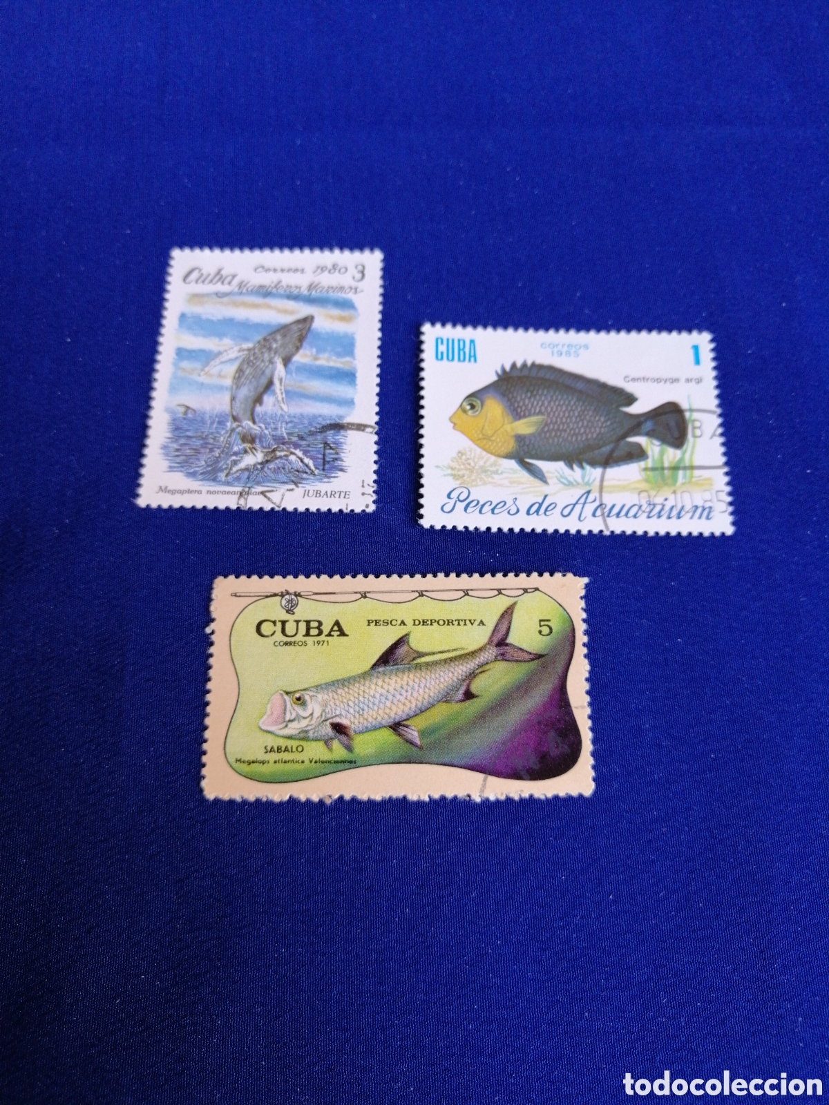 Sellos: CUBA - LOTE PECES SELLO USADO MATASELLADOS