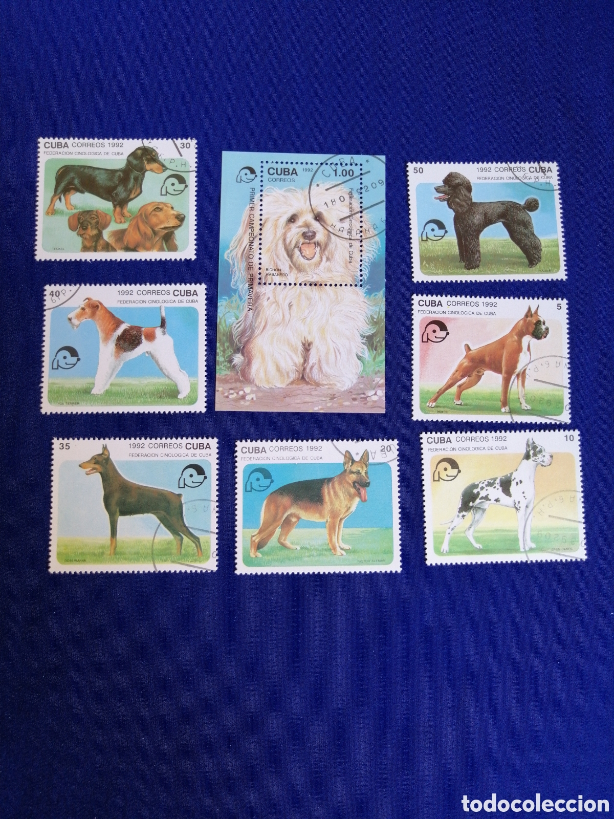 Sellos: CUBA - LOTE PERROS SELLO USADO MATASELLADOS