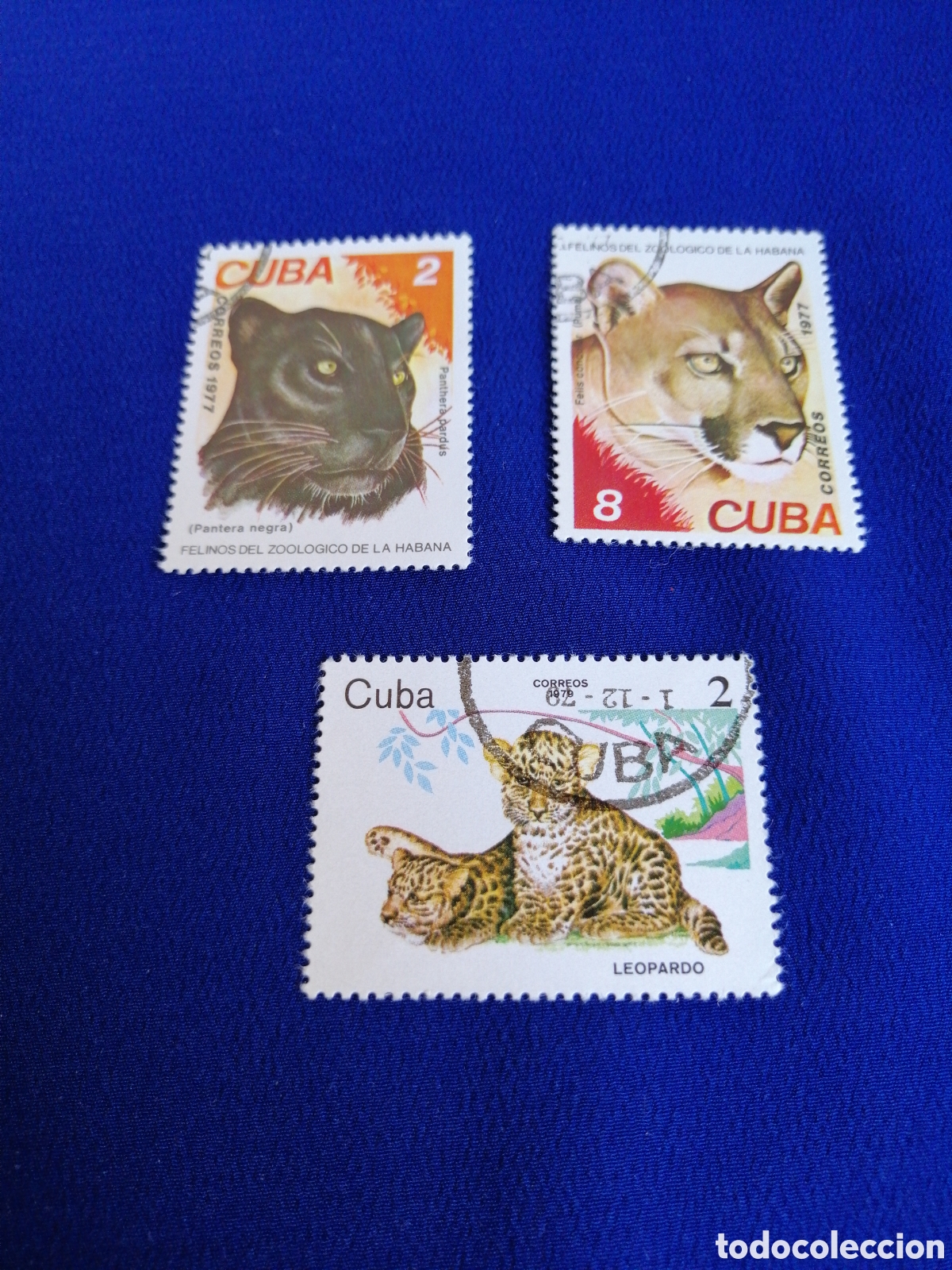 Sellos: CUBA - LOTE PANTERA /LEOPARDO SELLO USADO MATASELLADOS