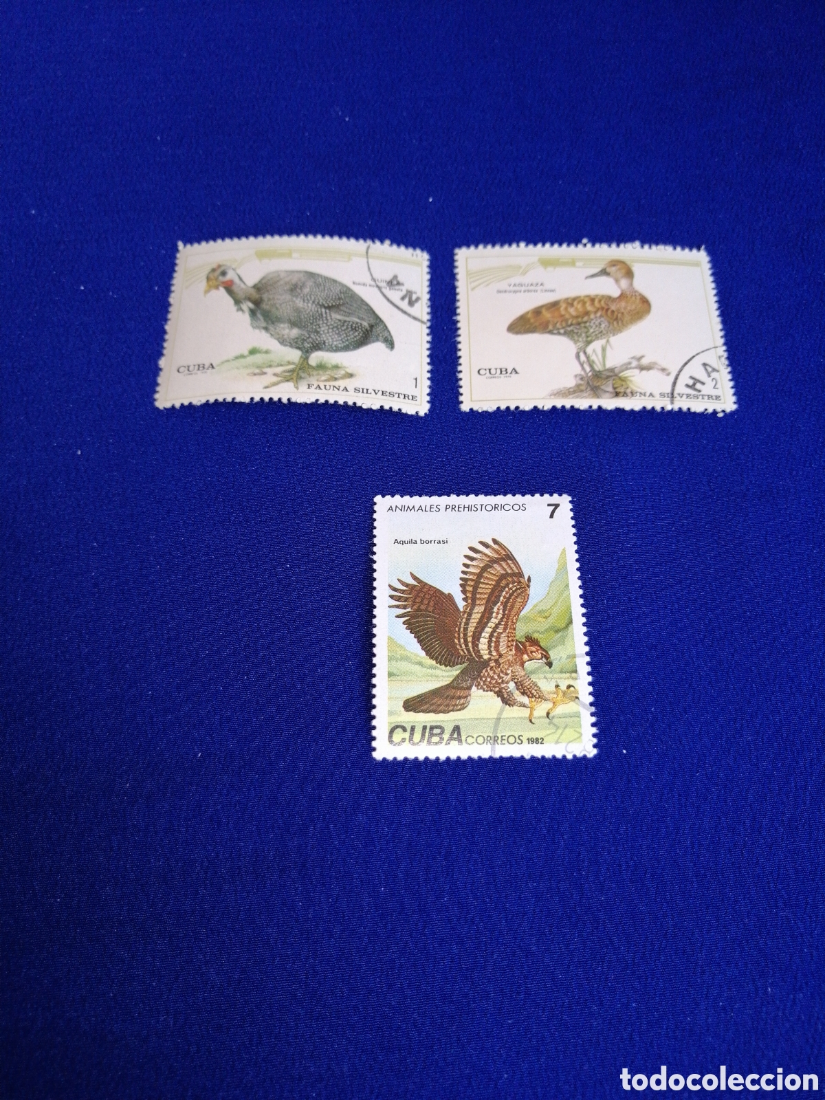 Sellos: CUBA - LOTE P&Aacute;JAROS AVES SELLO USADO MATASELLADOS