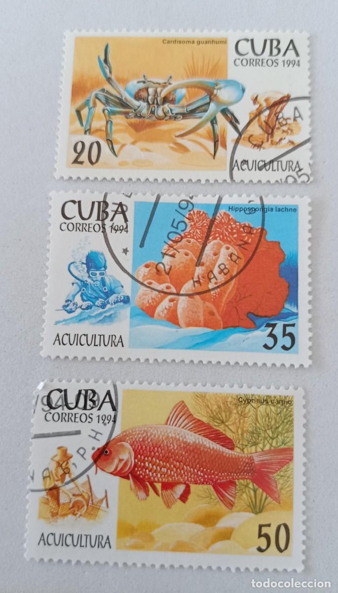 Sellos: Sellos Cuba 1994, Acuicultura. edifil 3909, 3911, 3913.