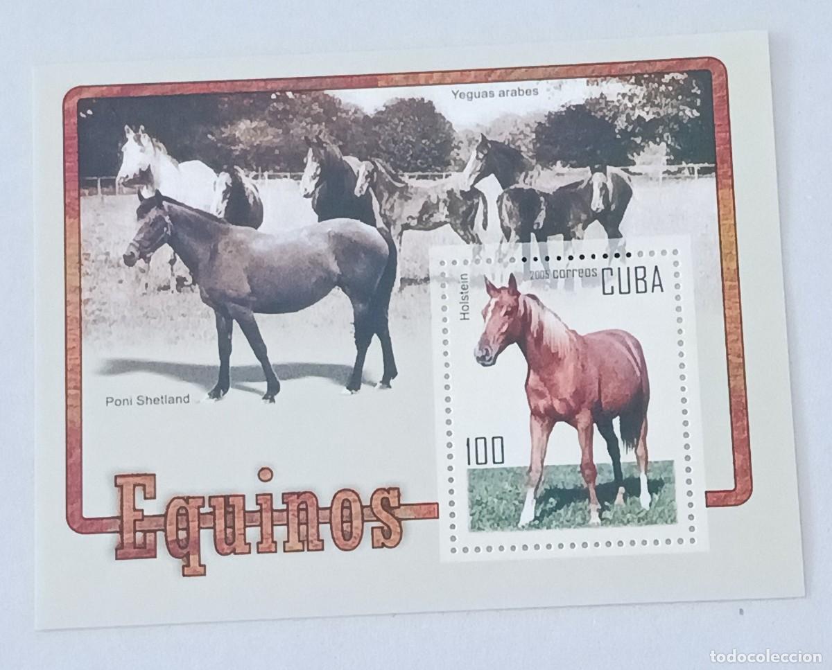 Sellos: Sellos Cuba 2005, Equinos. edifil 4893