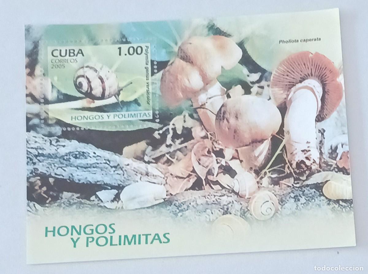 Sellos: Sellos Cuba 2005, Hongos y pol&iacute;mita, edifil 4915
