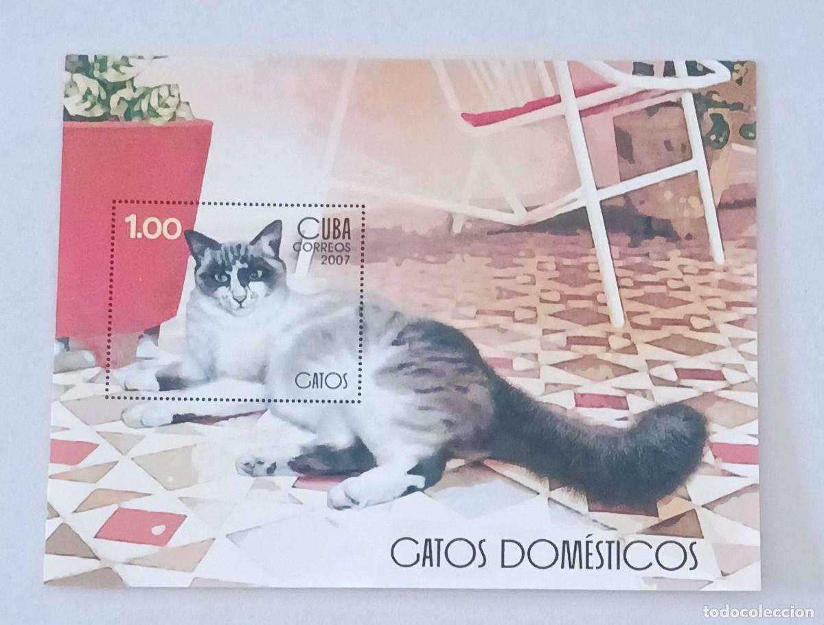 Sellos: Sellos Cuba 2007. Gatos dom&eacute;sticos. edifil 5044