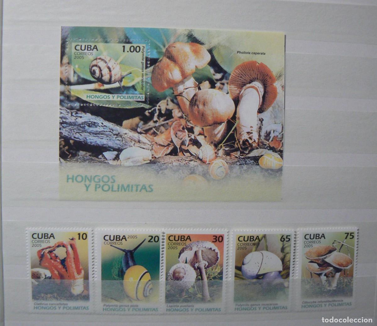 Sellos: CUBA - 2005 - A&Ntilde;O COMPLETO - MNH - Foto 6