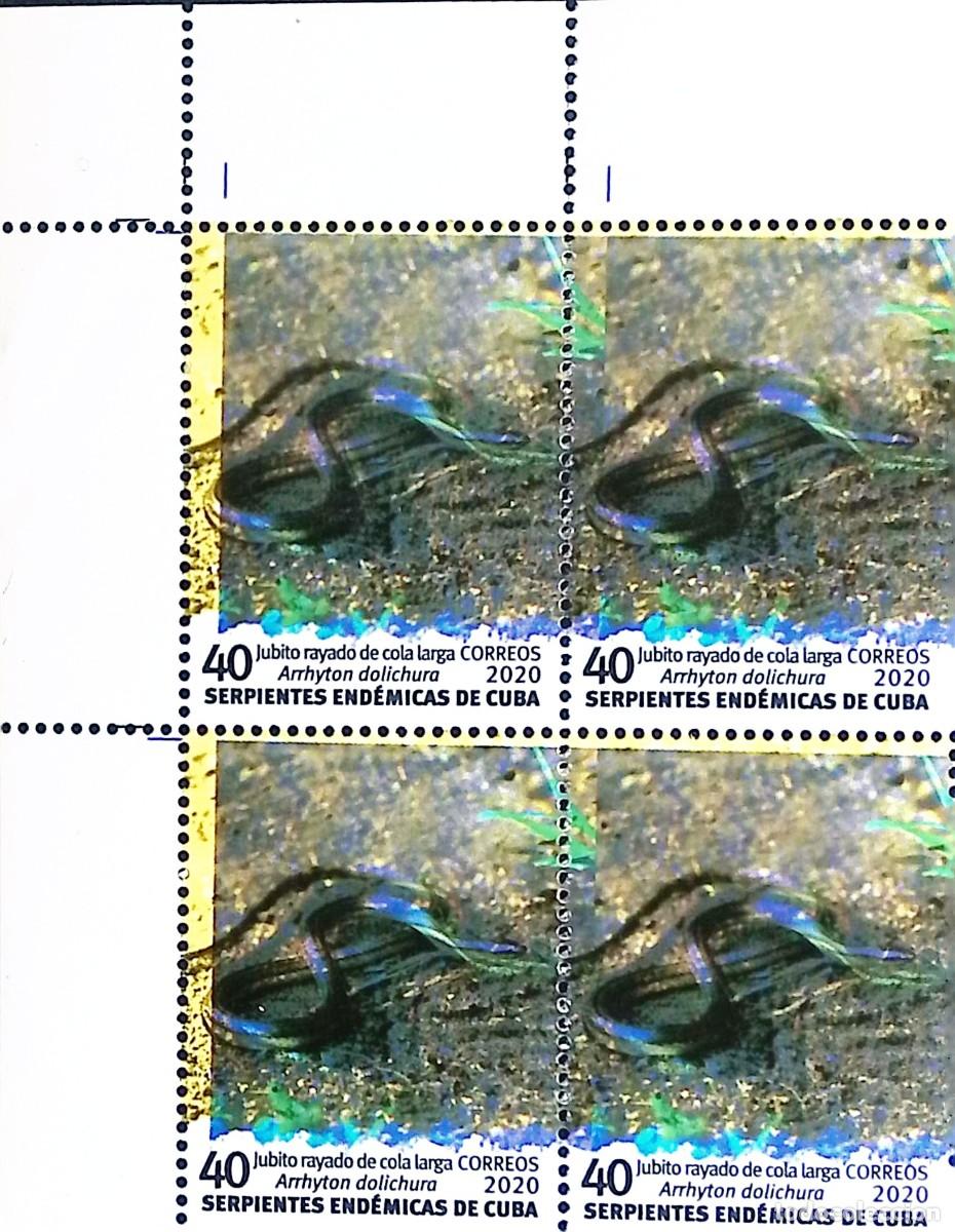 Sellos: MI) 2020 CUBA, DIE PROOF, BLOCK OF 4 (SLIGHTLY SHIFTED), ENDEMIC SNAKES OF CUBA, CUBAN RACER (LONG-T