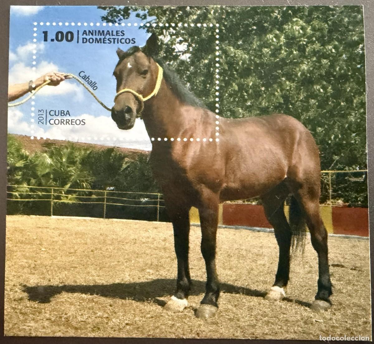 Sellos: OTEN180, CUBA, 2013, FAUNA, ANIMALES DOMESTICOS, CABALLO, HOJA-BLOQUE NUEVA
