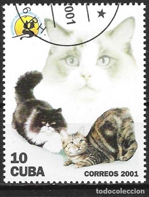 Sellos: Cuba 2001 - Mi 4345 - YT 3927 - Gatos