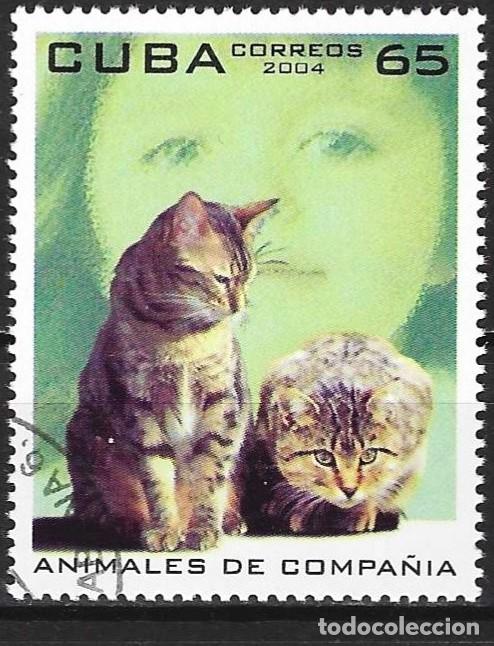 Sellos: Cuba 2004 - Mi 4628 - YT 4179 - Gatos