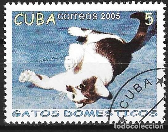Sellos: Cuba 2005 - Mi 4700 - YT 4246 - Gato
