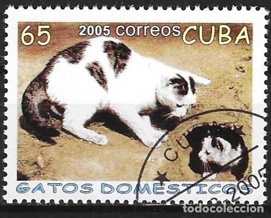 Sellos: Cuba 2005 - Mi 4703 - YT 4249 - Gatos