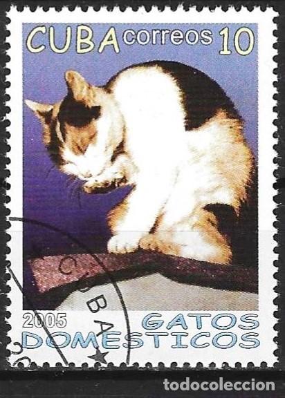 Sellos: Cuba 2005 - Mi 4701 - YT 4247 - Gato