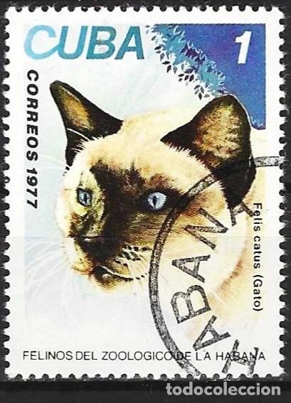 Sellos: Cuba 1977 - Mi 2257 - YT 2033 - Gato