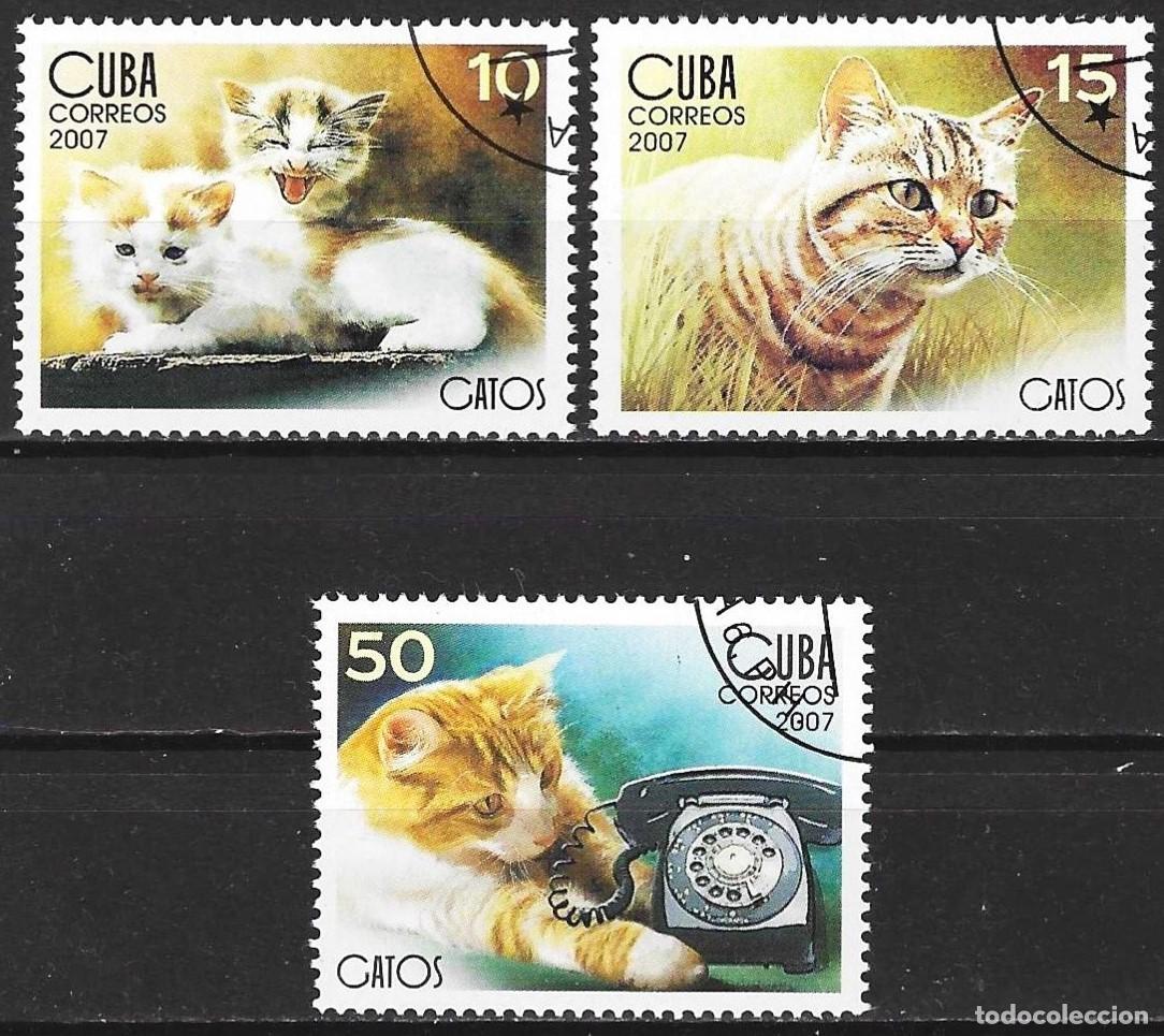 Sellos: Cuba 2007 - Mi 4898, 4900 y 4901 - YT 4446, 48 y 49 - Gatos
