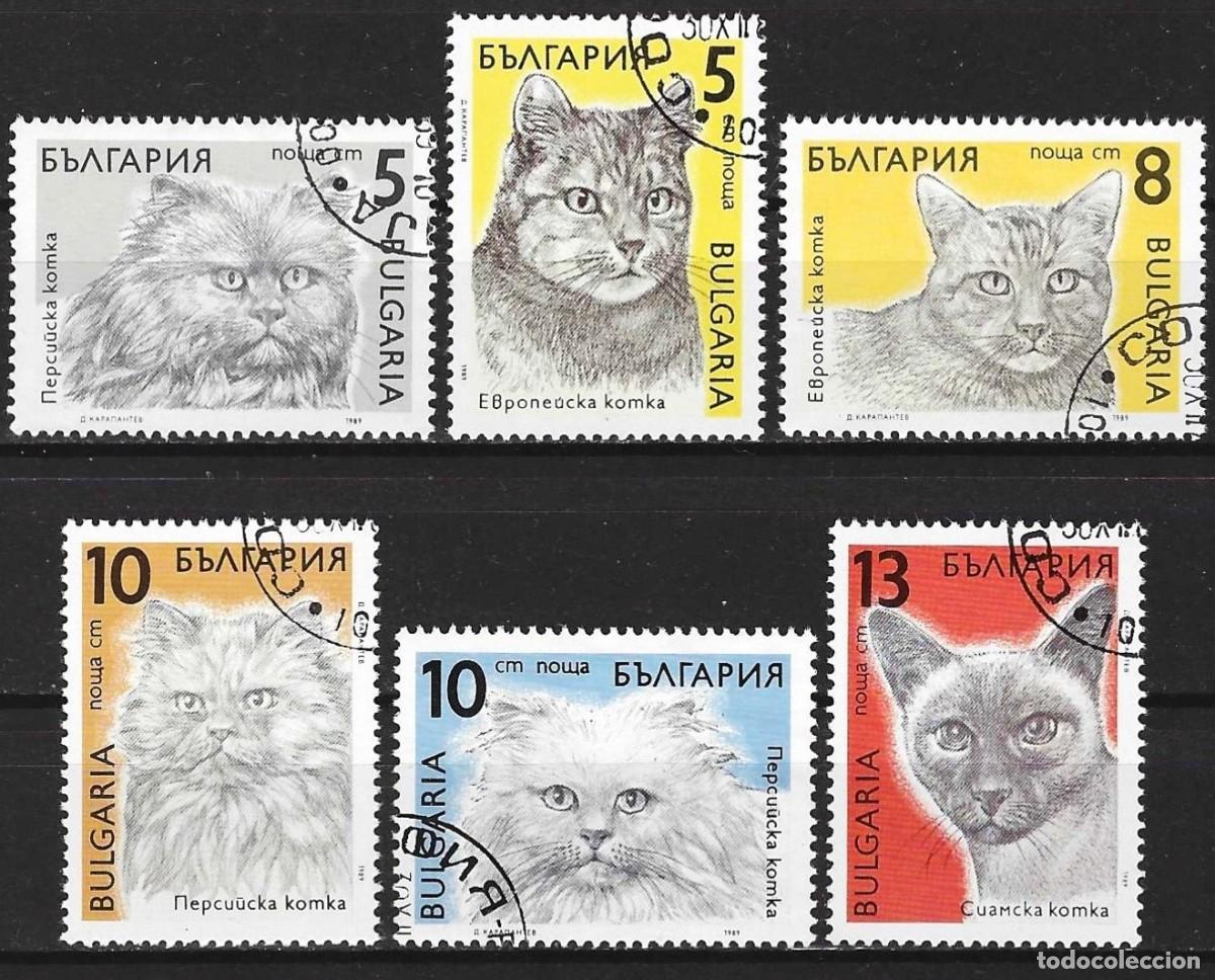 Sellos: Bulgaria 1989 - Mi 3808 a 3813 - YT 3286 a 3291 - Gatos ( Serie completa )
