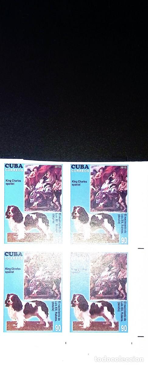 Sellos: TS) 2010 CUBA, DIE PROOF, IMPERFORATE, BLOCK OF 4,THE DOG IN ART: THE SPANIEL IN THE PAINTING BY RUB
