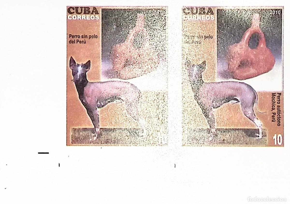 Sellos: TS) 2010 CUBA, DIE PROOF, IMPERFORATE, BLOCK OF 2,THE DOG IN ART:PERUVIAN INCA ORCHID AND PITCHER,MN