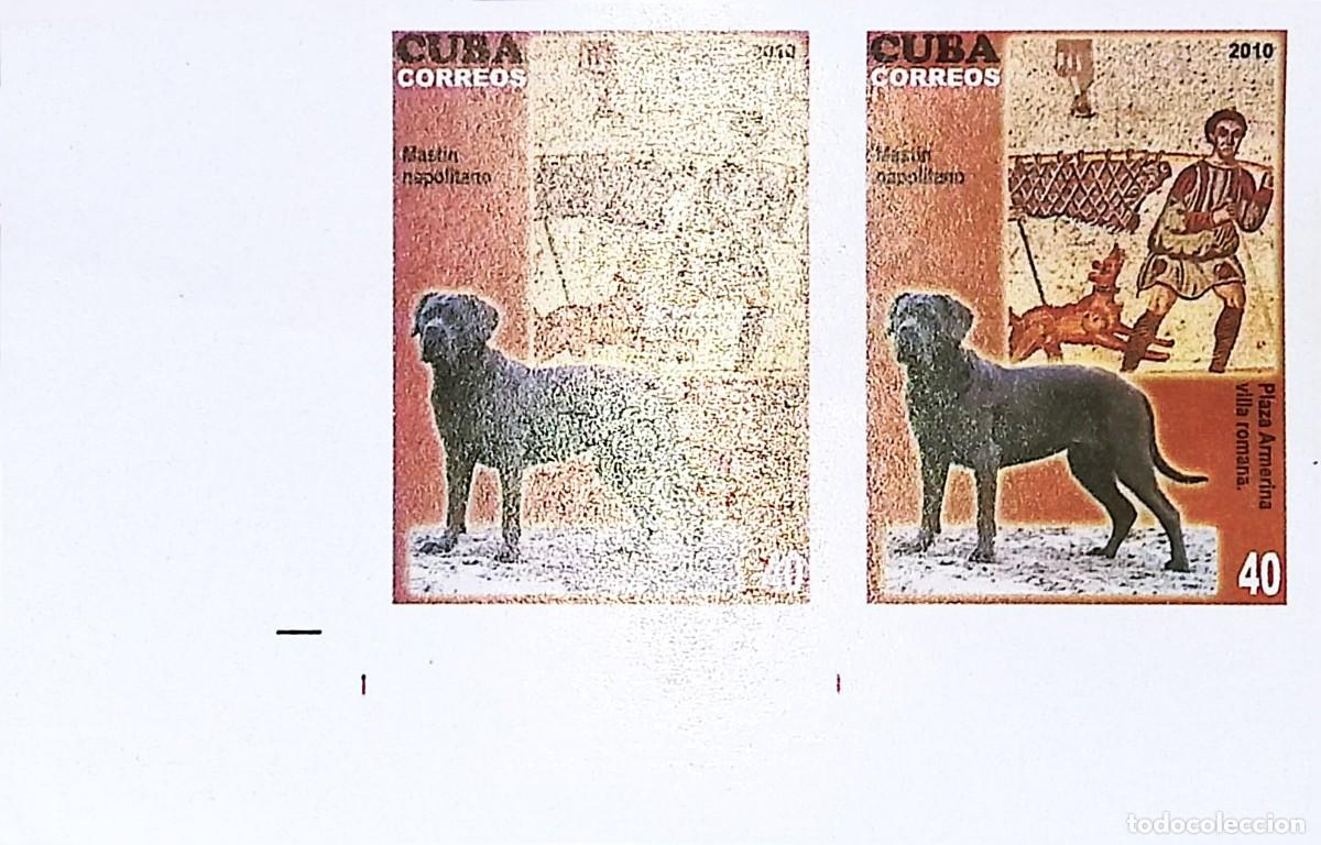 Sellos: TS) 2010 CUBA, DIE PROOF, IMPERFORATE, BLOCK OF 2,THE DOG IN ART:NEAPOLITAN MASTIFF AND ROMAN MOSAIC