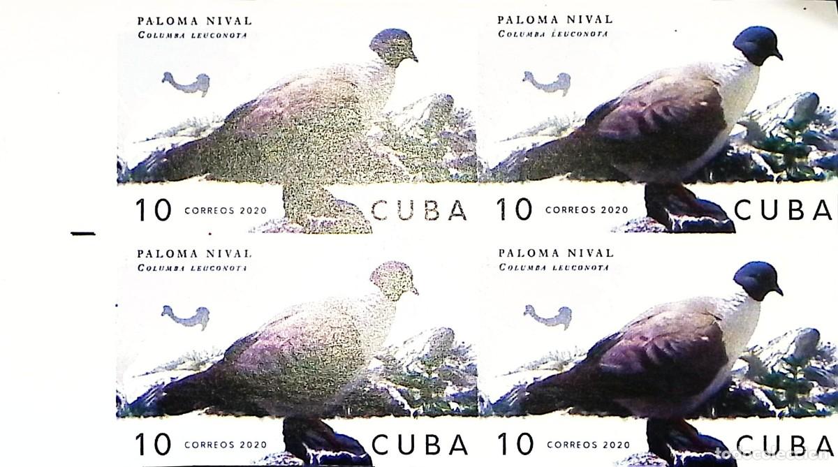 Sellos: TS) 2020 CUBA, DIE PROOF, IMPERFORATE, BLOCK OF 4,SNOWY DOVE,MNH.