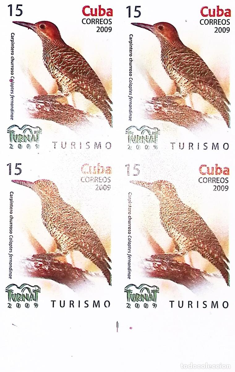 Sellos: TS) 2009 CUBA, DIE PROOF, IMPERFORATE, VARIETY OF COLOR, BLOCK OF 4,GROUND WOODPECKER,MNH.