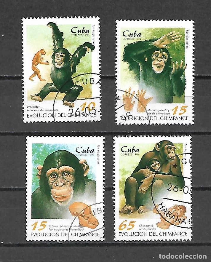 Sellos: Chimpances evolucionados. de CUBA. sellos a&ntilde;o 1998