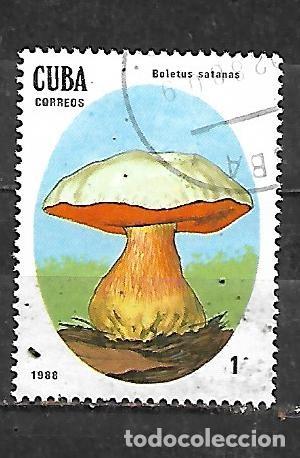 Sellos: 1988: Setas venenosas - Boleto del diablo (CTO) - Foto 1