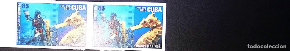 Sellos: TS) 2010 CUBA,DIE PROOF, IMPERFORATE, BLOCK OF 2, SEAHORSE AND DIVER,MNH.