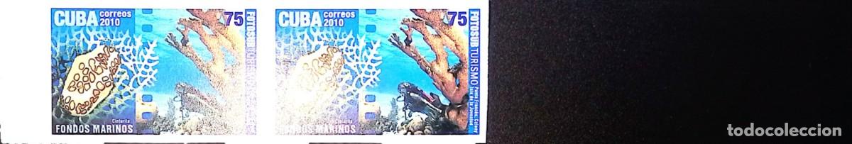 Sellos: TS) 2010 CUBA,DIE PROOF, IMPERFORATE, BLOCK OF 2, FLAMINGO TONGUE SNAIL,MNH.